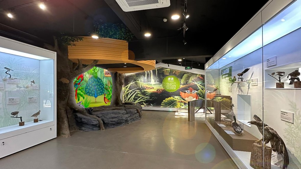 白云山“鸣春谷”鸟类生物多样性科普馆-(2).jpg